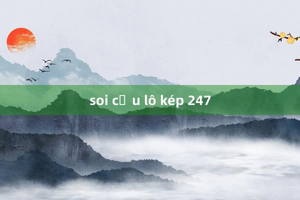 soi cầu lô kép 247