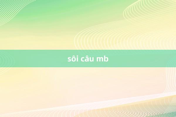 sôi câu mb