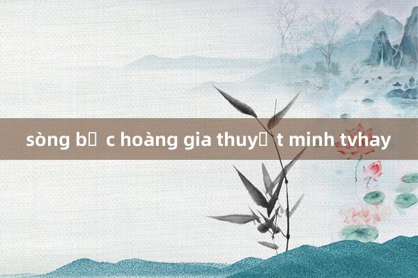 sòng bạc hoàng gia thuyết minh tvhay