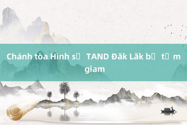 Chánh tòa Hình sự TAND Đăk Lăk bị tạm giam