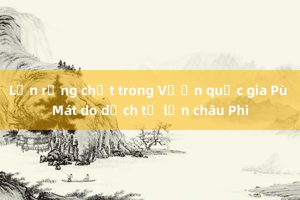 Lợn rừng chết trong Vườn quốc gia Pù Mát do dịch tả lợn châu Phi