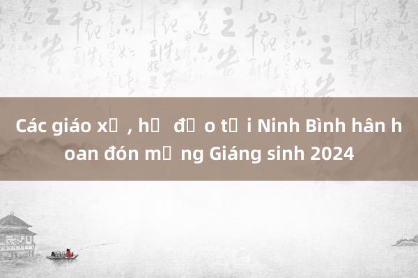 Các giáo xứ， họ đạo tại Ninh Bình hân hoan đón mừng Giáng sinh 2024