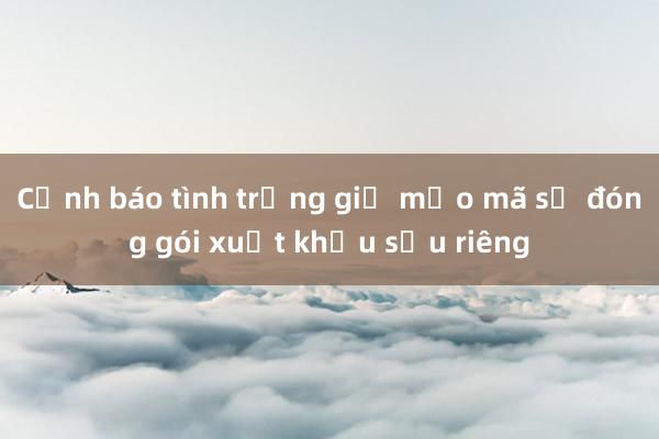 Cảnh báo tình trạng giả mạo mã số đóng gói xuất khẩu sầu riêng