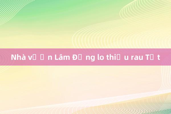 Nhà vườn Lâm Đồng lo thiếu rau Tết