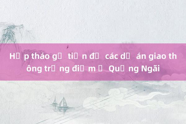 Họp tháo gỡ tiến độ các dự án giao thông trọng điểm ở Quảng Ngãi