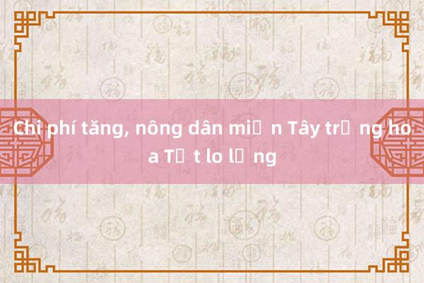 Chi phí tăng， nông dân miền Tây trồng hoa Tết lo lắng