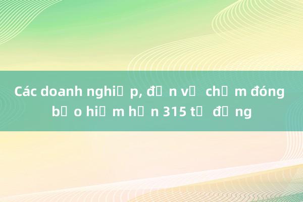 Các doanh nghiệp， đơn vị chậm đóng bảo hiểm hơn 315 tỷ đồng